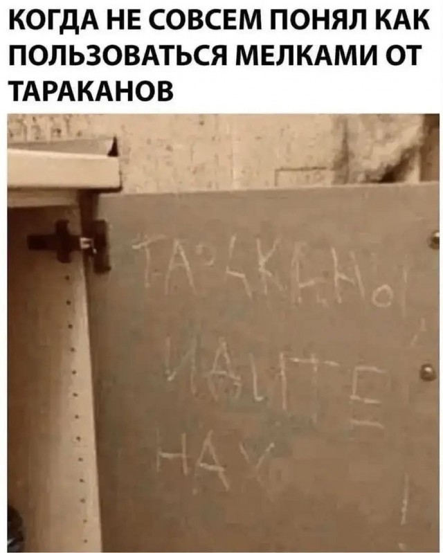 Пятница — маленькая жизнь! 🚀 дождались, последние, которые, поймет, каждый, сегодня, трудом, досиживает, офисе, коллекцию, Листайте, смейтесь, пусть, пролетит, незаметно👇, Заряжаемся, отличные, мемов, юмораСобрали, официально