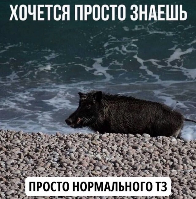 картинка fa2dc2c425 21182809