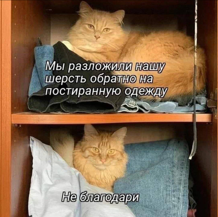 картинка fcafa0c284 1786681041