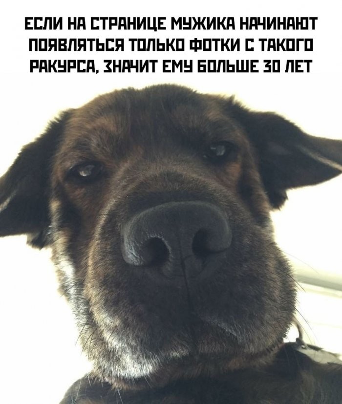 картинка fe2660367b zabud pro skuku podborka jumora s perchinkoj 2