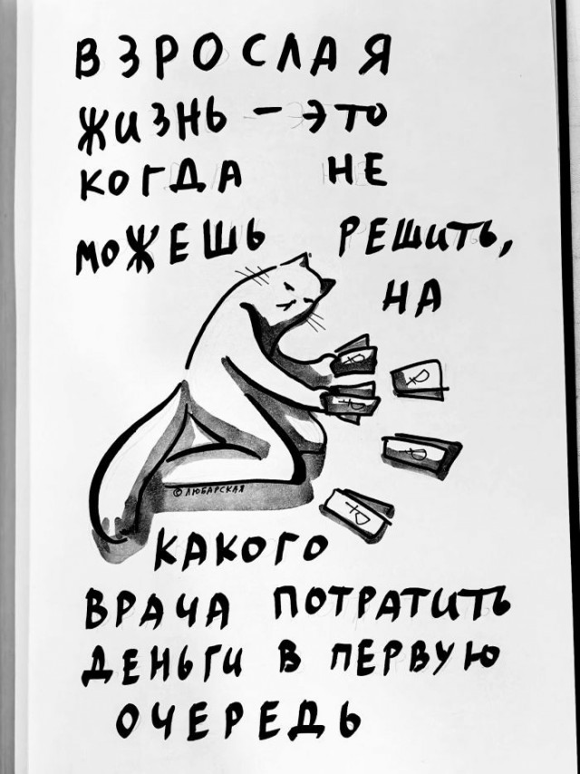 картинка fe7dc9c511 21221286