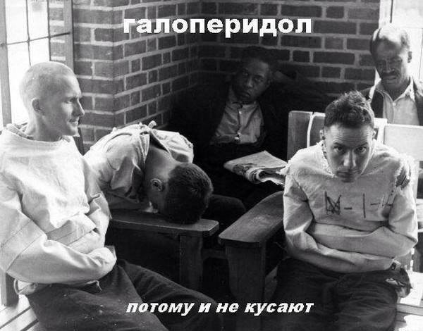 картинка ff0eff4e70 21149796