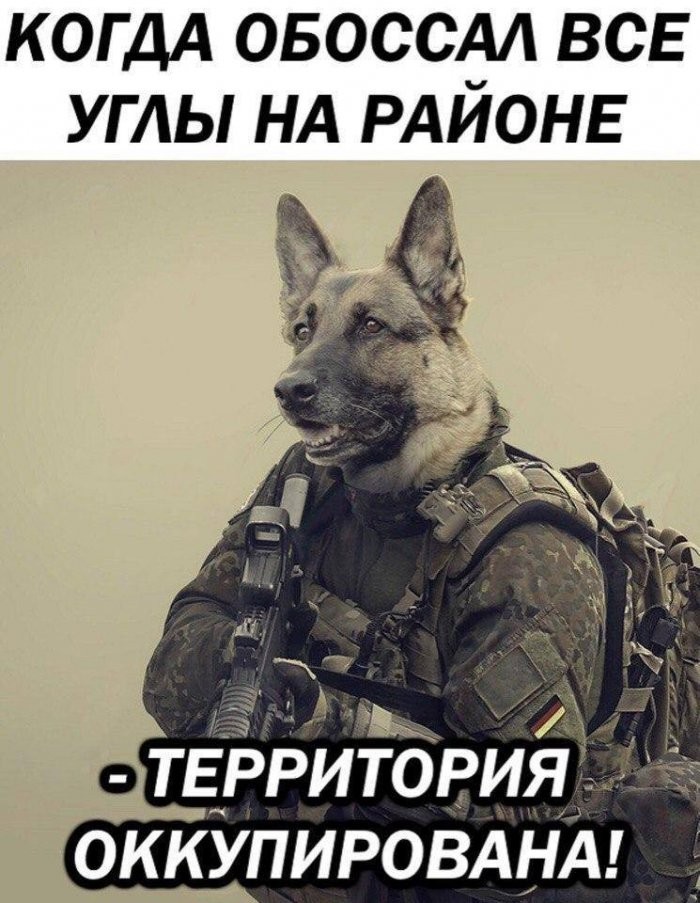 картинка ff148156fa vash antidepressant na segodnja porcija memov 11