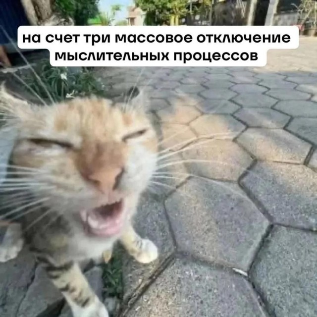 Рабочая неделя официально повержена! 🥊 Рабочая неделя официально повержена! 🥊 Чтобы, эндорфинов, самое, конца, собойЛистайте, улетучатся, мысли, рабочие, небес, подскочит, уровень, переход, Гарантируем, мемов, свежий, собрали, плавно, максимально, прошел, «выходные»
