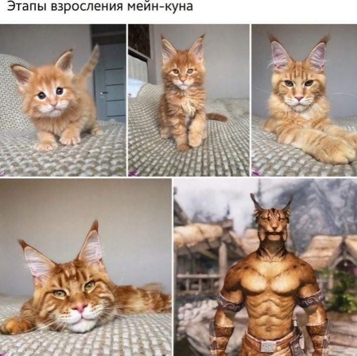 картинка ff9aba9871 vash antidepressant na segodnja porcija memov 9