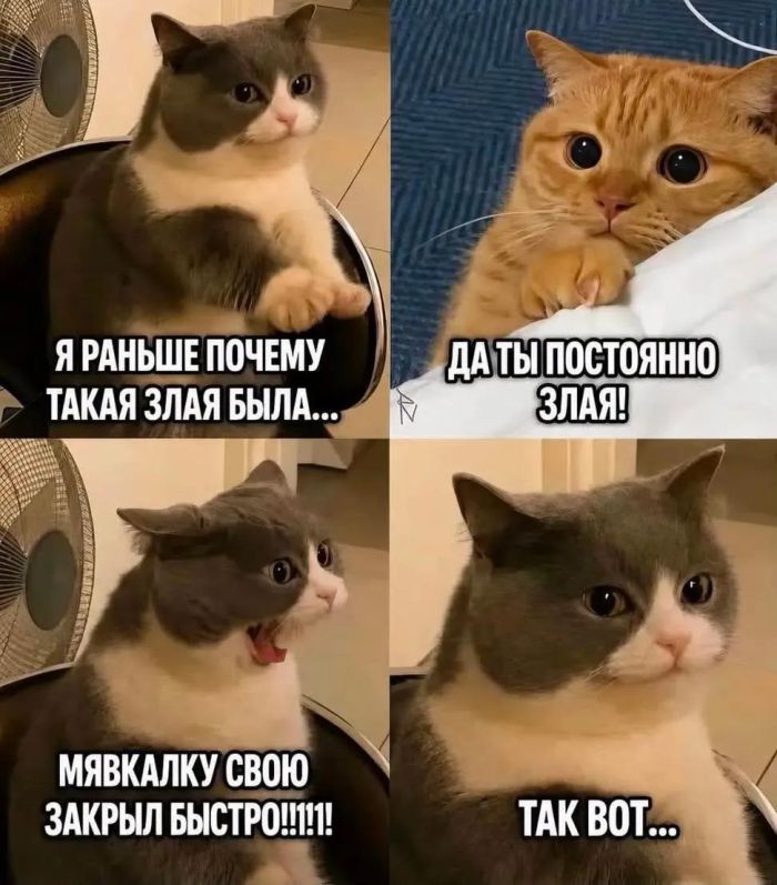 Рабочая неделя официально повержена! 🥊 Рабочая неделя официально повержена! 🥊 Чтобы, эндорфинов, самое, конца, собойЛистайте, улетучатся, мысли, рабочие, небес, подскочит, уровень, переход, Гарантируем, мемов, свежий, собрали, плавно, максимально, прошел, «выходные»