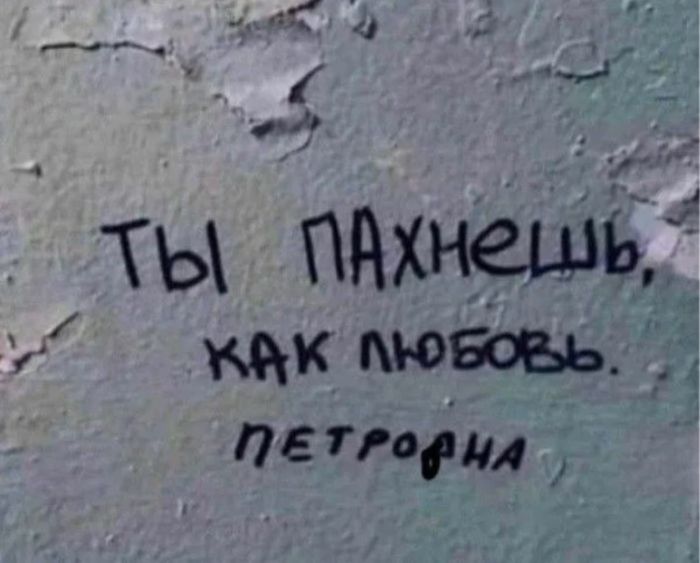 картинка 00c59b8a51 jumor ne dlja vseh  a dlja teh u kogo stalnye nervy 32