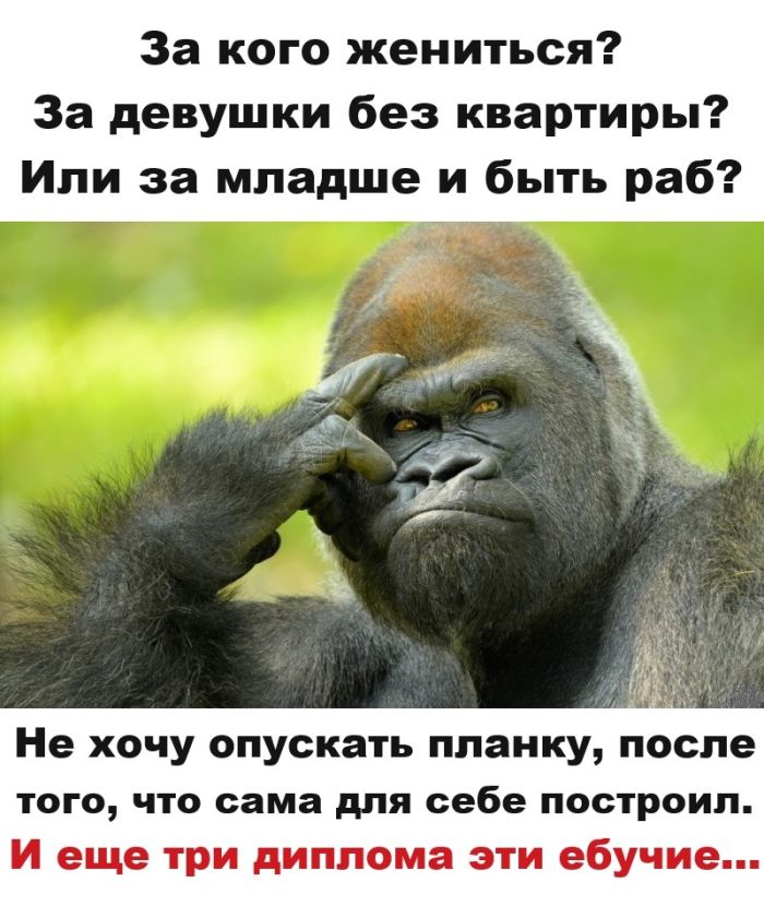 картинка 030e4422ca 1786770227