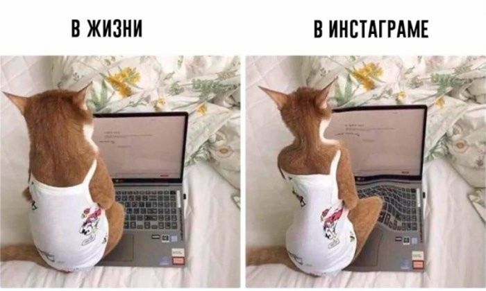 картинка 040586d137 ostorozhno uroven toksichnosti i poshlosti zashkalivaet 8