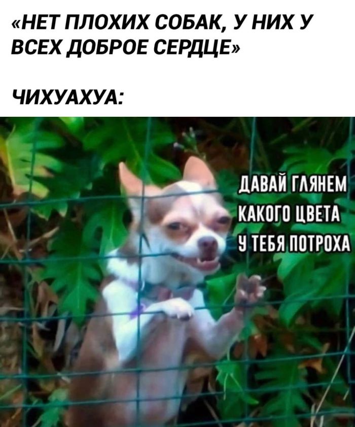 картинка 0599f122e2 malenkaja pjatnica vremja vydohnut 7