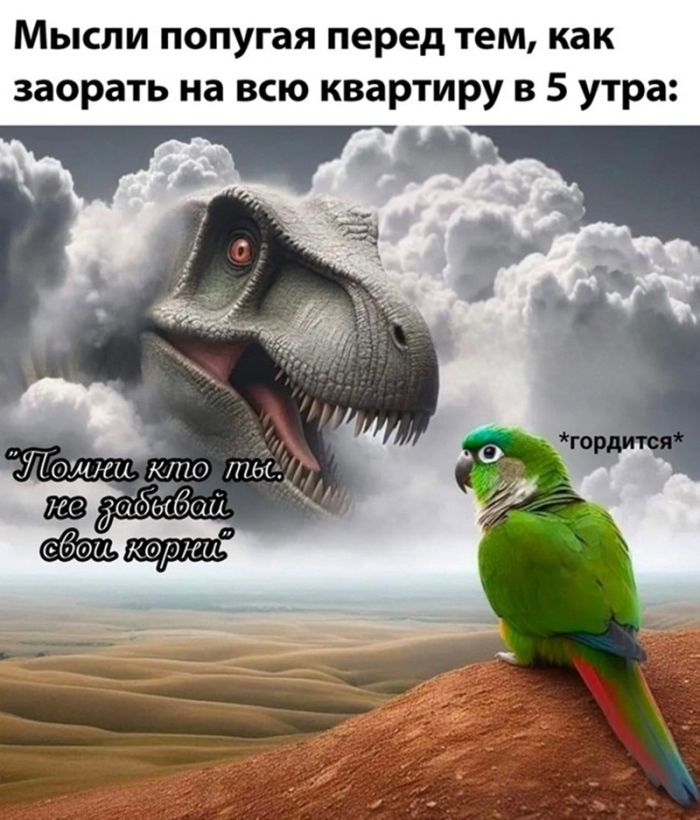 картинка 072983e202 jumor ne dlja vseh  a dlja teh u kogo stalnye nervy 9