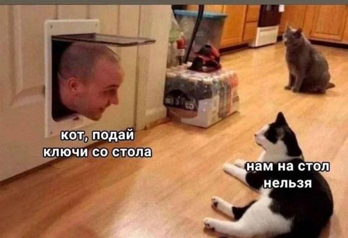 Утро не задалось? 😴 У нас есть план спасения: порция мемов и смешных комментариев. сегодня, переходите, позитивом, улыбаемся, потихоньку, настраиваемся, отличный, 💪Скорее, ссылке, кофе», пусть, хорошее, настроение, будет, первых, минут, 👇Предыдущая, Заряжаемся, чашка, будильник