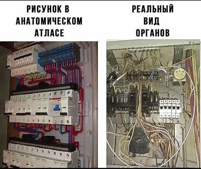 Среда — это маленькая пятница, а значит, пора добавить в неё немного юмора! ✨ Среда — это маленькая пятница, а значит, пора добавить в неё немного юмора! ✨ Собрали, Листайте, будет, сегодня, настроение, пусть, друзьями, делитесь, смейтесь, улыбкой, новую, недели, середину, пережить, помогут, которые, мемов, порцию, высоте