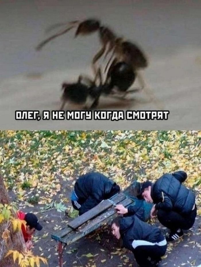 картинка 10e91e6e4a esli u vas vse esche est moralnye principy luchshe projdite mimo  32