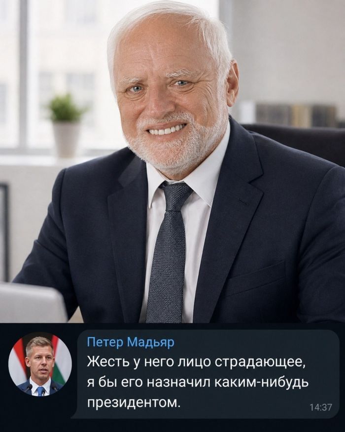 Венгрия официально сошла с ума : народным кандидатом в президенты стал Гарольд, скрывающий боль.