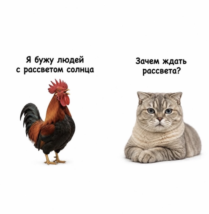 Понедельник — день тяжелый? Только не у нас! ☕️ Признавайтесь, тяжелый», новую, врываемся, позитивом, Заряжаемся, дыхании, одном, пройдет, понедельник, незаметно, пролетит, время, подборкой, нашей, «день, прошло, волнуЗабудьте, рабочую, настроиться