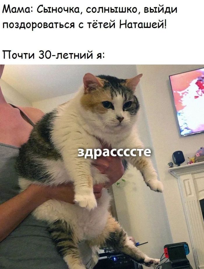 картинка 144501e7f2 000