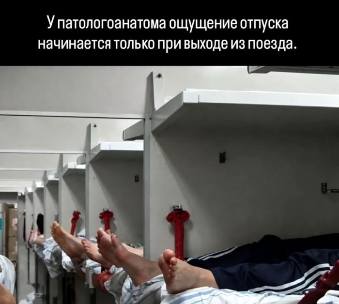 Устали от серых будней? Заряжаемся позитивом: свежая порция мемов и комментариев, которые сделают ваш день! которые, комментариях, самое, Бывают, 2010го, улыбнуться, выдохнуть, могли, чтобы, свежий, Только, «бородатых», анекдотов, силами, актуальное, только, отобрали, себяМы, узнает, каждый
