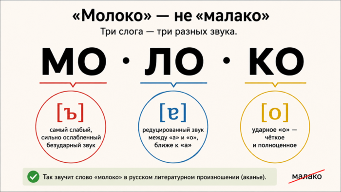 картинка 1b4ea74d53 akane i okane kak v russkom jazyke stolknulis skorost i tradicija 4