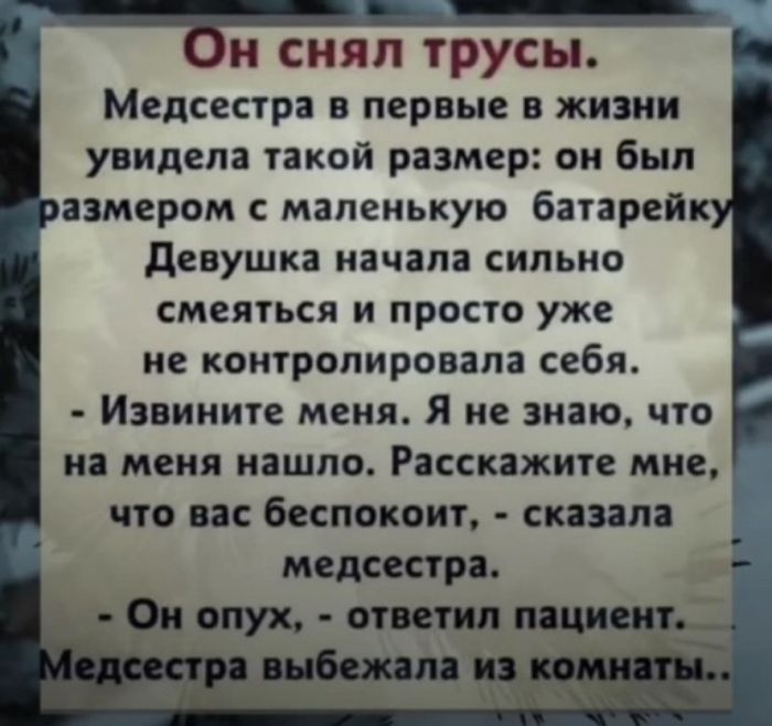 картинка 1fa5697e1a derzkij i provokacionnyj jumor dlja nastroenija 12