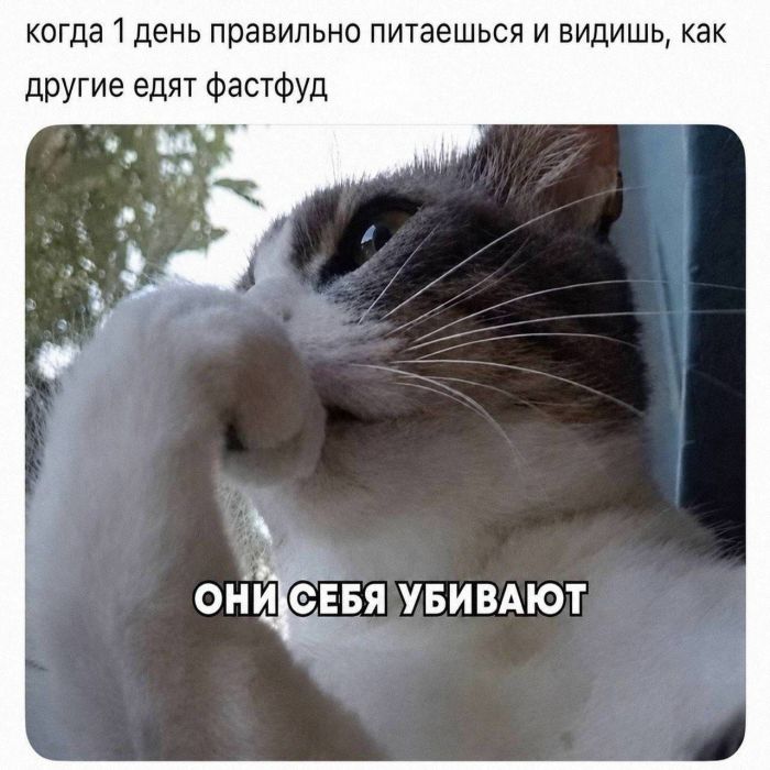 картинка 20634f0fd4 vremja vkljuchat ulybku na maksimum 1