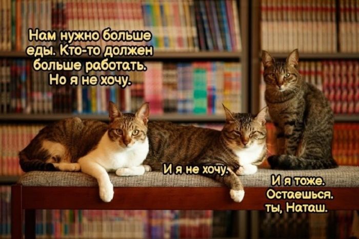 картинка 2082027c6e 21190312