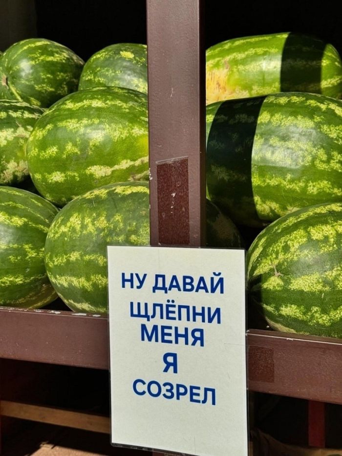 картинка 244298bc9b ostorozhno uroven cinizma zashkalivaet 14
