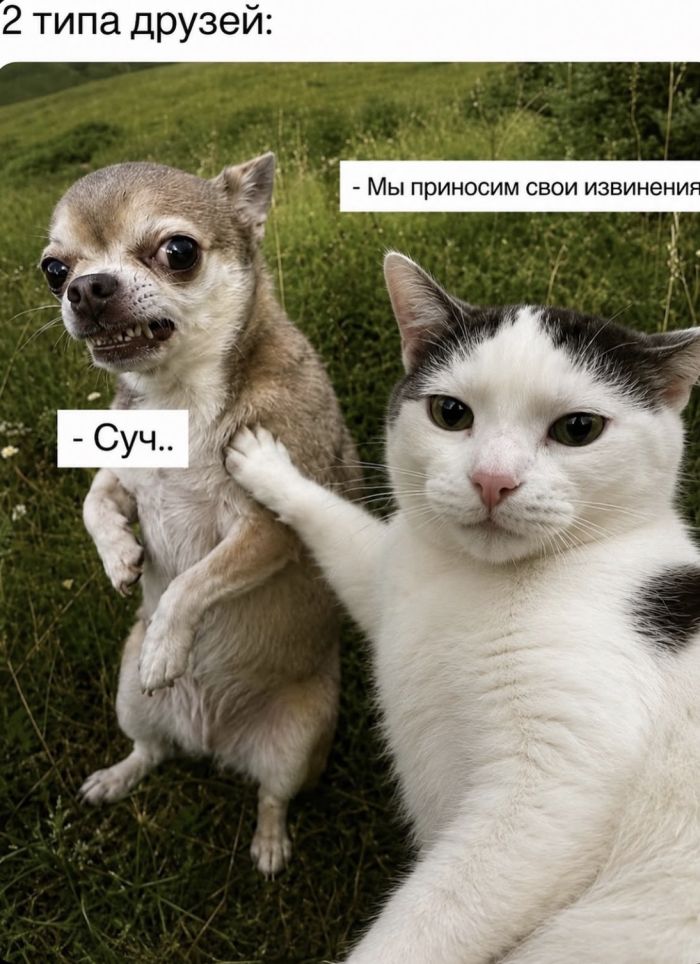 картинка 2e7ffec158 000000000000000000