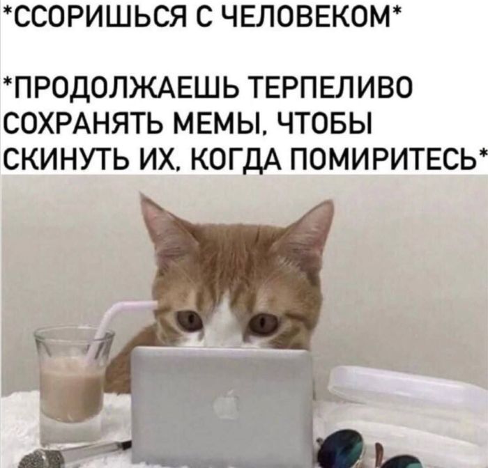 Заряжаемся на позитив! Новая порция мемов уже здесь 🚀 которые, посмеяться, Устали, слов», комментарии, смешнее, самих, постовХватит, грустить, листайте, заряжайтесь, настроением, делитесь, друзьями, чтобы, вместе, 👇Предыдущая, «понимают, жизненные, ситуации