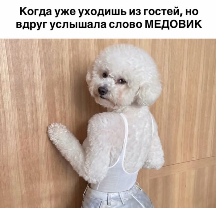 картинка 356f5ae20a ostorozhno uroven cinizma zashkalivaet 3