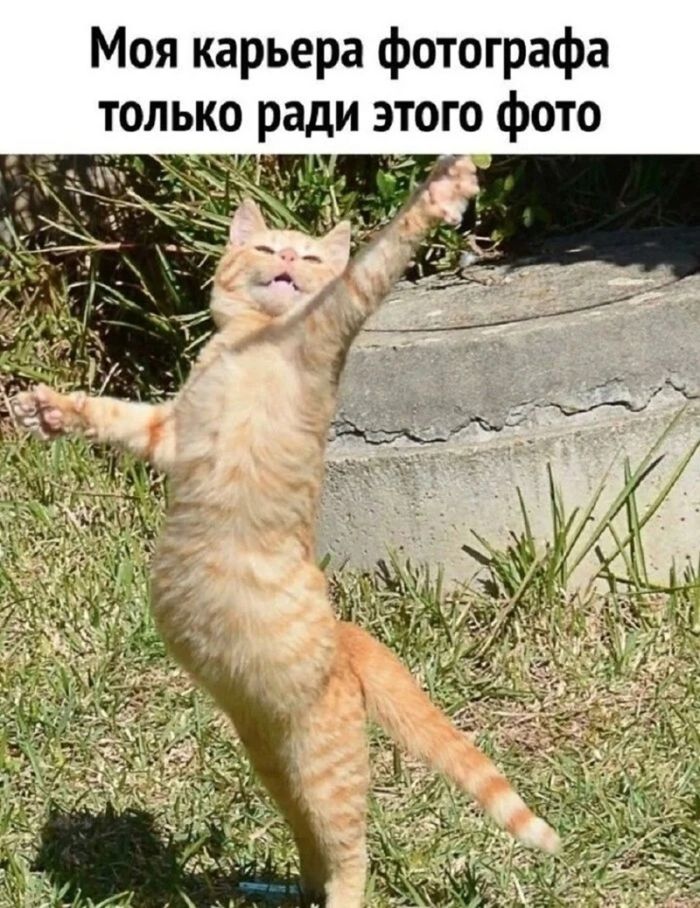 картинка 37157c43a6 ostorozhno uroven morali stremitsja k nulju 30