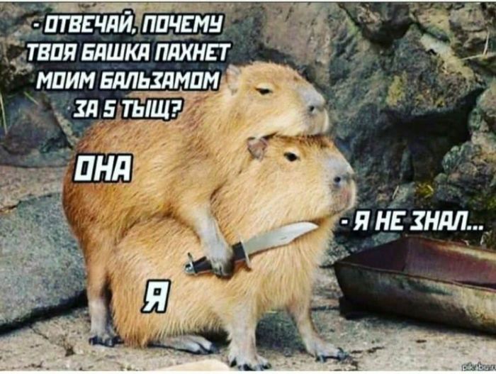 Заряжаемся на позитив! 🚀 Самые свежие приколы дня уже здесь! Устали, остроумие, 👇Предыдущая, голос, смеяться, заставит, который, главный, спрятан, конца, себяЛистайте, узнает, каждый, которых, картинки, «Оскара», серьезных, достойны, которые, комментарии