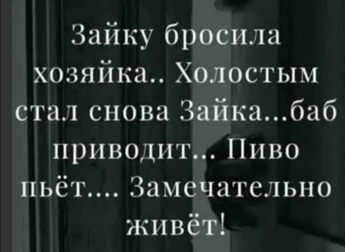 картинка 3b5d27e830 zarjad bodrosti porcija memov chtoby den stal jarche 18