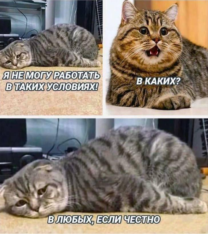 картинка 3e63c61e93 000000