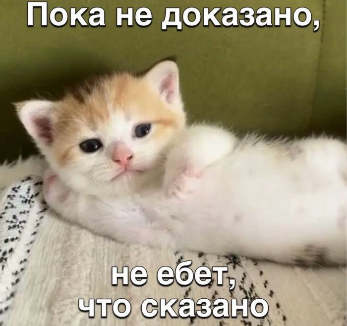 картинка 446613ae16 chernyj jumor kogda moral ushla v otpusk 13