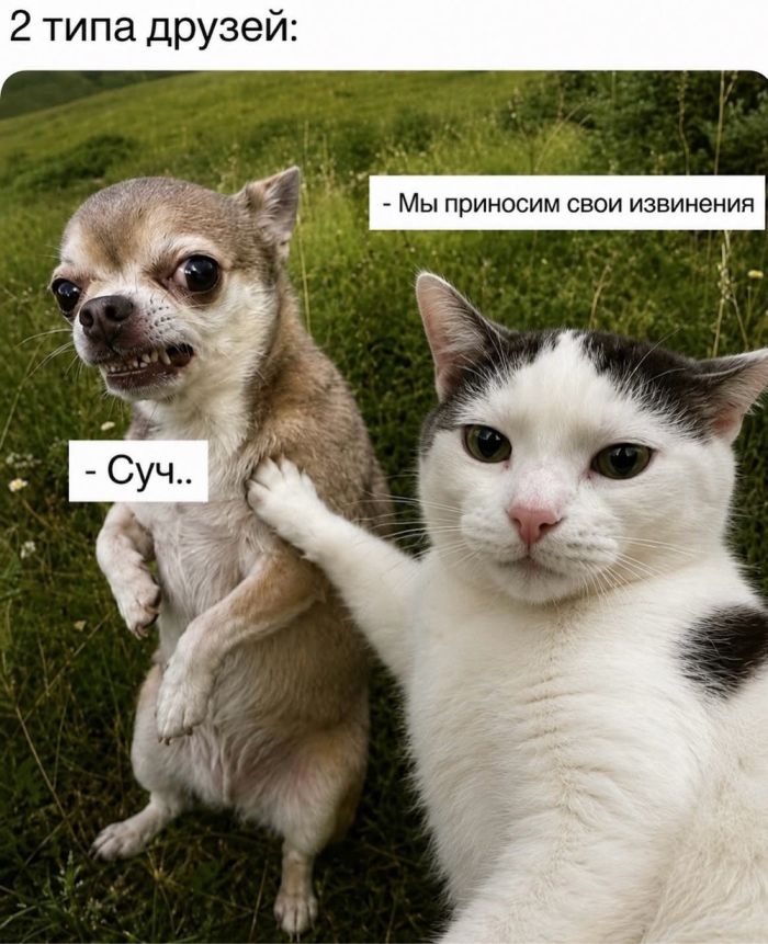 картинка 45983a603b chernyj jumor kogda moral ushla v otpusk 10