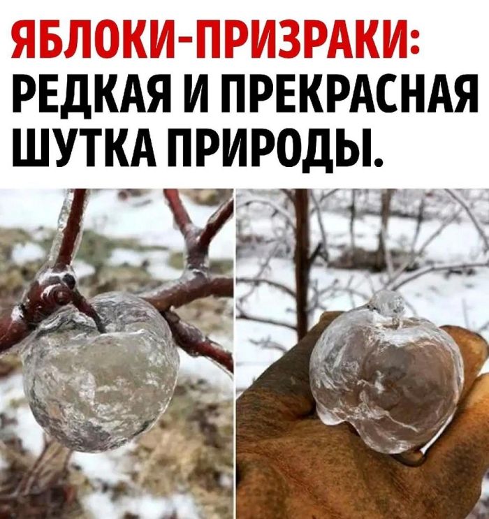 картинка 4811bca15a 21190287