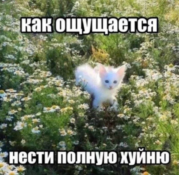 картинка 484ea2ed5b znak svyshe vremja vydohnut i posmejatsja 9
