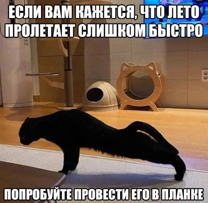 картинка 4d06556b7f 0000000