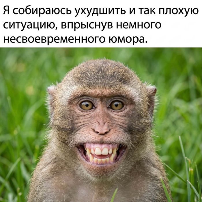 картинка 50da0d326d chernyj jumor kogda moral ushla v otpusk 3