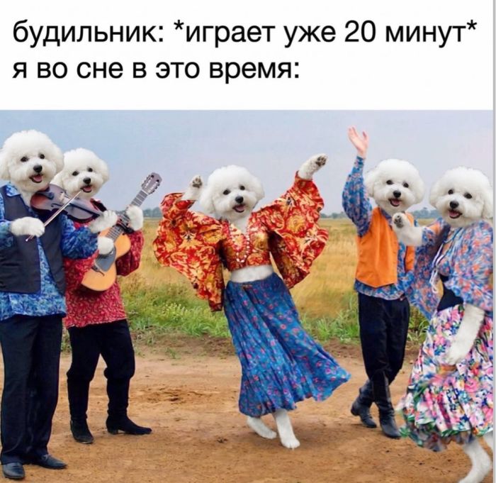 Пятничная терапия смехом ☕️✨ сегодня, осознание, выдохнуть, Самые, жизненные, недели, позитивные, фотографии, чтобы, чтото, небольшую, улыбнуться, легким, сердцем, закрыть, ноутбукДелитесь, комментариях, «антистрессподборку», Поэтому, подготовили