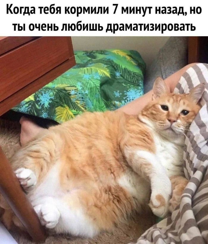 картинка 576d4e9149 00000000000