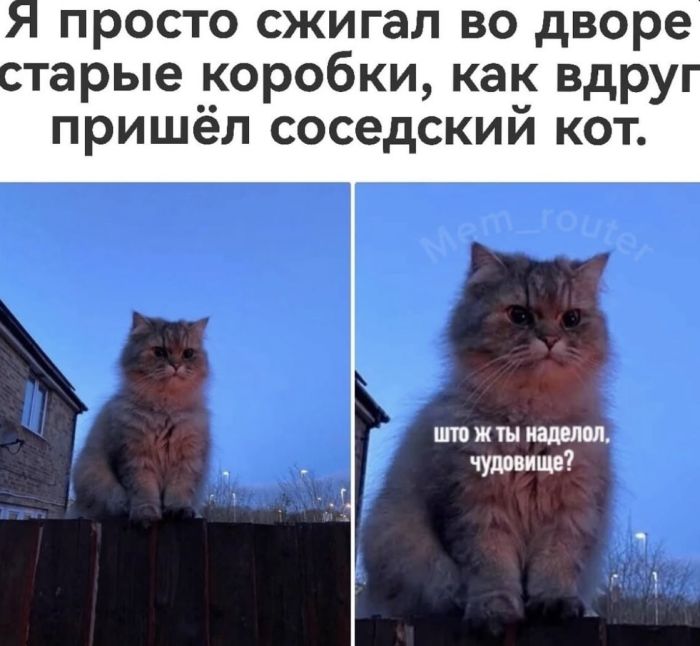 картинка 583de51f48 00000