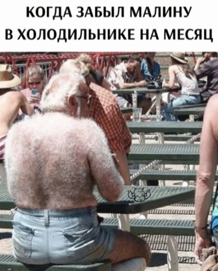картинка 59a39d1cc0 1785647805