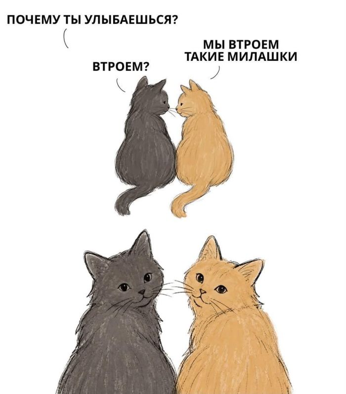 Экватор пройден! 🐪 Среда — это маленькая пятница, а значит, пора подзарядиться позитивом! Середина, позитивных, легкой, пройдет, пусть, друзьями, делитесь, смейтесь, коллегуЛистайте, серьезного, самого, улыбнуться, заставят, точно, которые, картинок, недели, угарных, порцию, свежую