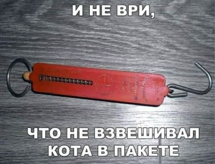 картинка 60368a11d7 ostorozhno uroven cinizma zashkalivaet 8