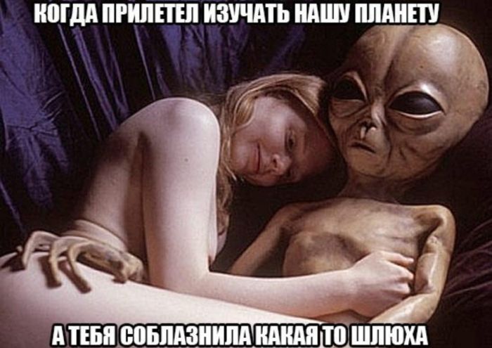 Юмор не для всех. А для тех, у кого стальные нервы. 💀