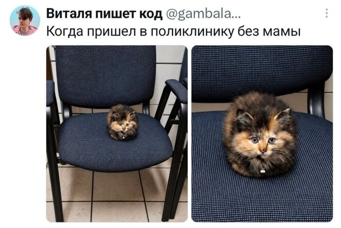 картинка 6118cfeaf4 slabonervnym i svjatosham vhod vospreschen 6