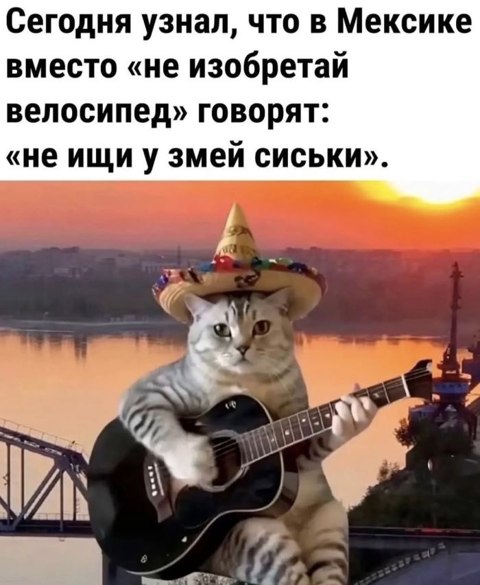 картинка 62de999a91 0000000