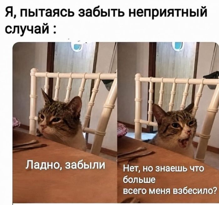 Утро не задалось? 😴 У нас есть план спасения: порция мемов и смешных комментариев. сегодня, переходите, позитивом, улыбаемся, потихоньку, настраиваемся, отличный, 💪Скорее, ссылке, кофе», пусть, хорошее, настроение, будет, первых, минут, 👇Предыдущая, Заряжаемся, чашка, будильник